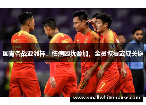 国青备战亚洲杯：伤病困扰叠加，全员恢复或成关键