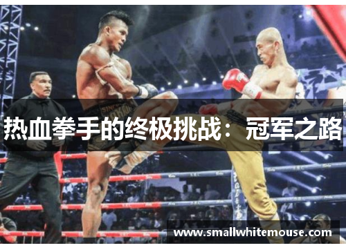 热血拳手的终极挑战：冠军之路