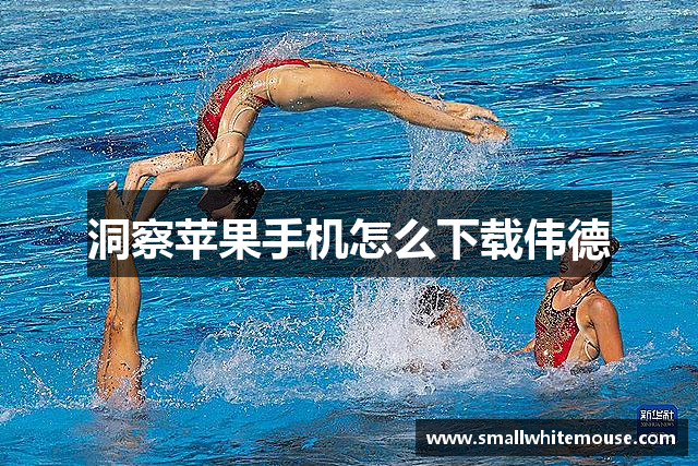 洞察苹果手机怎么下载伟德